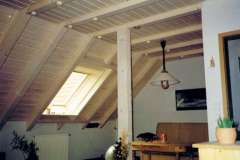 Innenv11